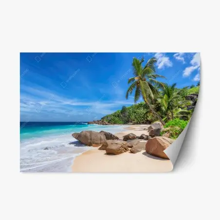 Adesivo riposizionabile oasi tropicale con palme e rocce sulla spiaggia • Wallissimo®