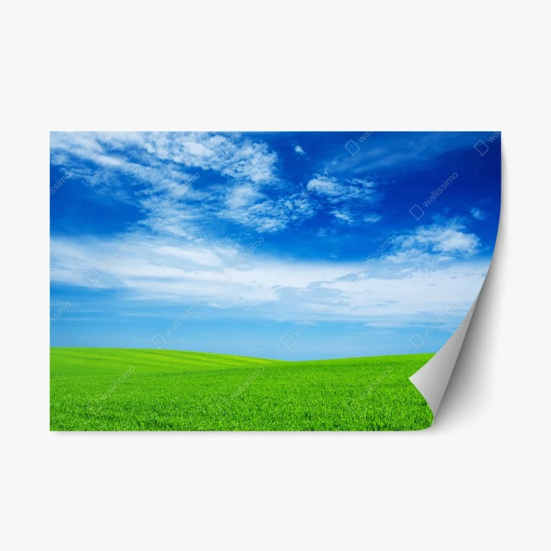 Adesivo riposizionabile prato verde sotto il cielo azzurro