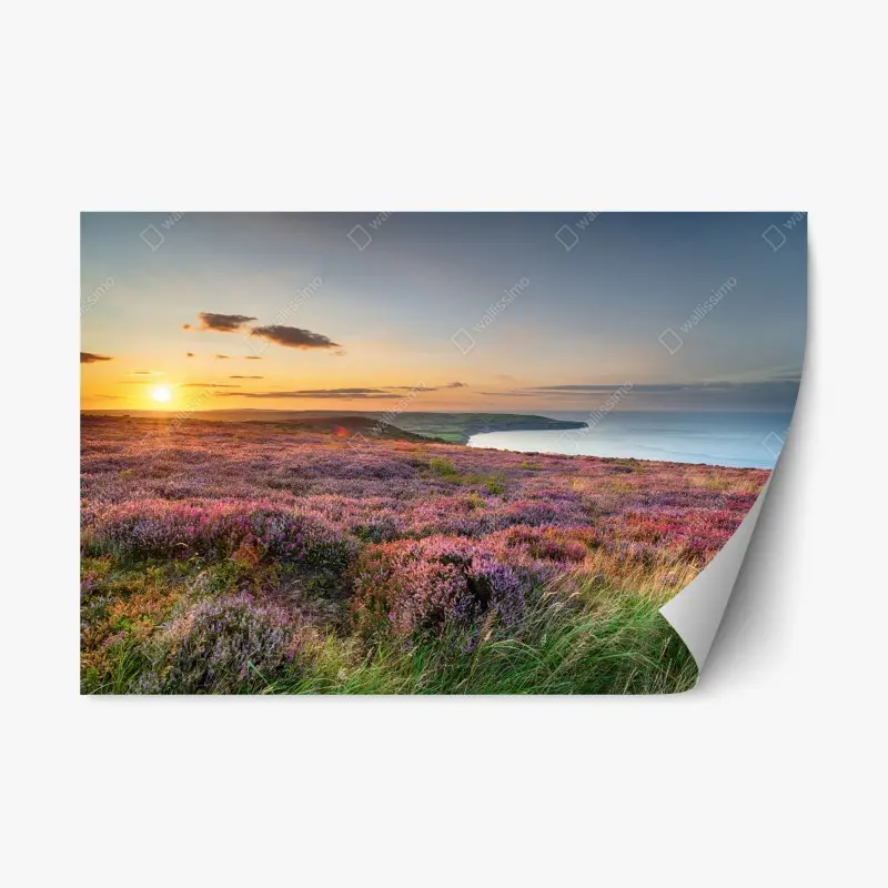 Adesivo riposizionabile tramonto sulla brughiera dei North York Moors sopra Ravenscar con vista su Robin Hood's Bay