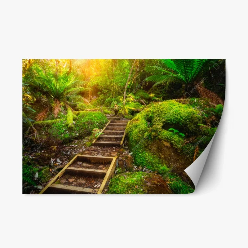 Adesivo riposizionabile sentiero incantato nella penisola di Tasman, Tasmania