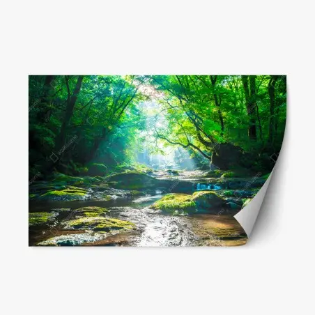 Adesivo riposizionabile rifugio verde sul ruscello • Wallissimo®