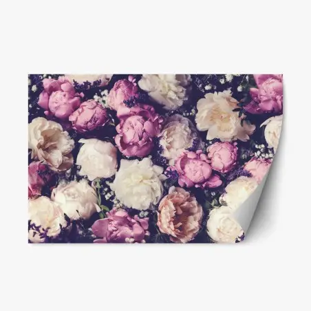 Adesivo riposizionabile composizione romantica di peonie rosa e crema • Wallissimo®