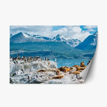 Adesivo riposizionabile colonia di leoni marini tra rocce e montagne • Wallissimo®