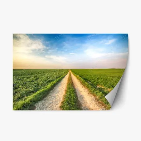 Adesivo riposizionabile strada verso l'orizzonte • Wallissimo®