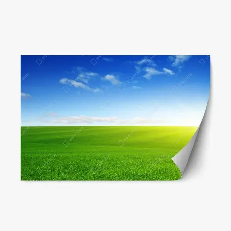 Adesivo riposizionabile prato verde all'orizzonte con cielo azzurro • Wallissimo®