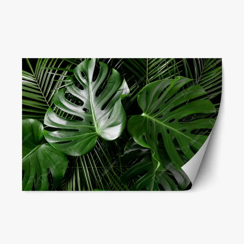 Adesivo riposizionabile composizione di foglie di monstera e palma