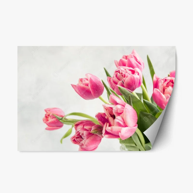 Adesivo riposizionabile tulipani rosa con gocce di rugiada