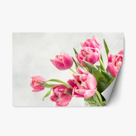 Adesivo riposizionabile tulipani rosa con gocce di rugiada • Wallissimo®