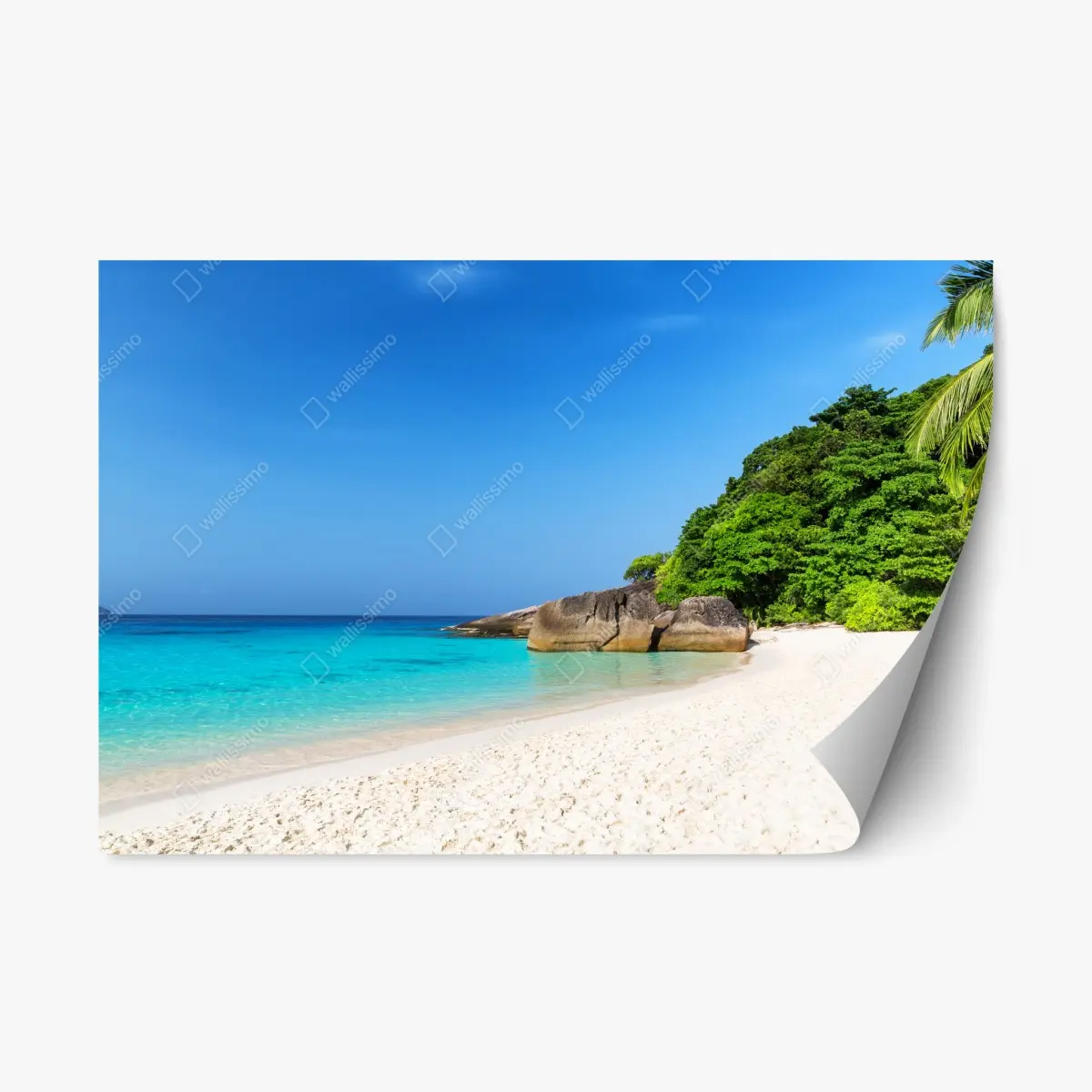 Adesivo riposizionabile paradiso tropicale delle isole Similan • Wallissimo®