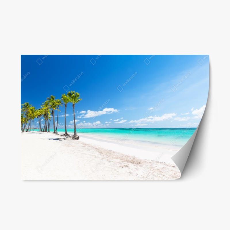 Adesivo riposizionabile spiaggia tropicale a Punta Cana