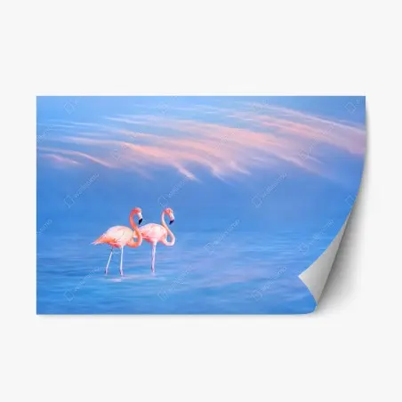 Adesivo riposizionabile fenicotteri rosa sul mare al crepuscolo • Wallissimo®