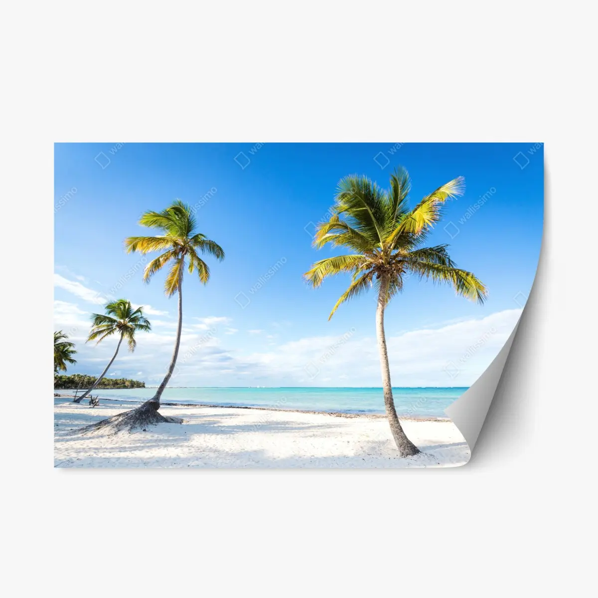 Adesivo riposizionabile paradiso tropicale con palme e mare turchese • Wallissimo®