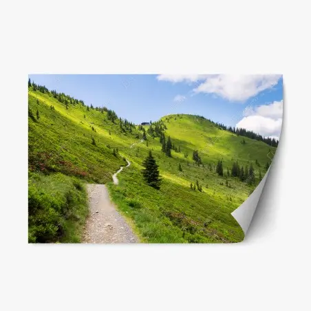 Adesivo riposizionabile sentiero tra colline verdi e cielo azzurro • Wallissimo®