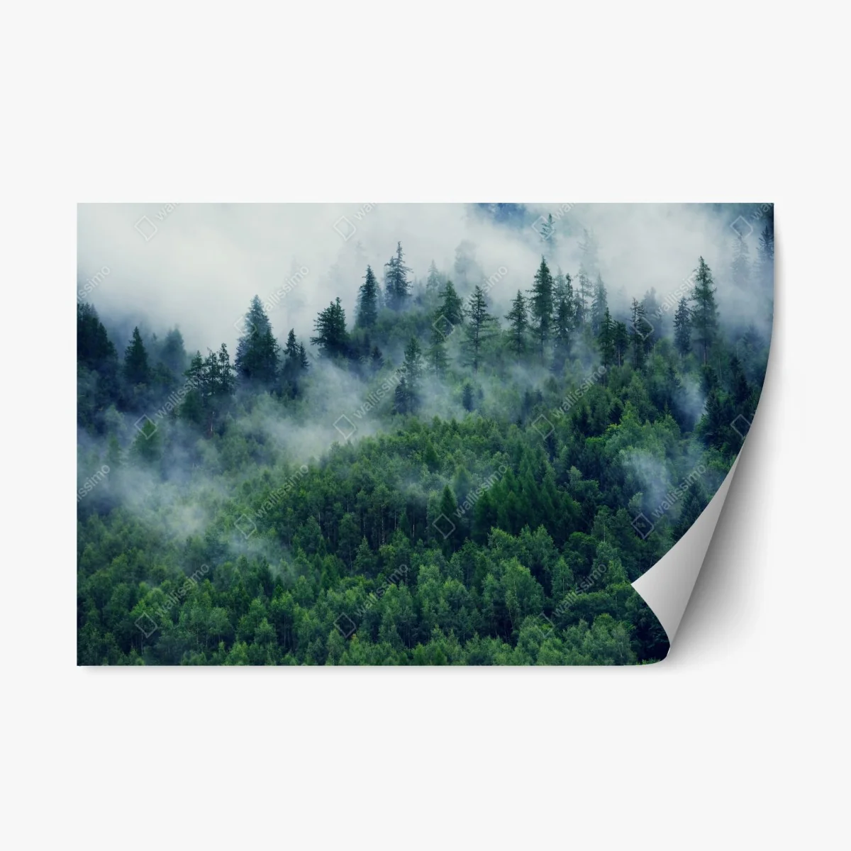 Adesivo riposizionabile foresta avvolta dalla nebbia • Wallissimo® Adesivo riposizionabile foresta avvolta dalla nebbia • Wallissimo®