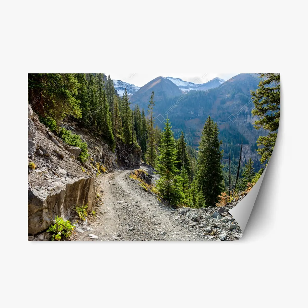 Adesivo riposizionabile sentiero di montagna tra conifere e rocce • Wallissimo®