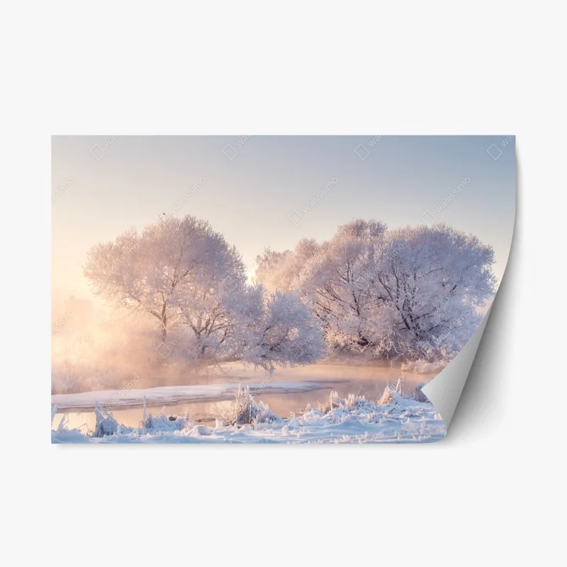 Adesivo riposizionabile alba rosa sul paesaggio innevato