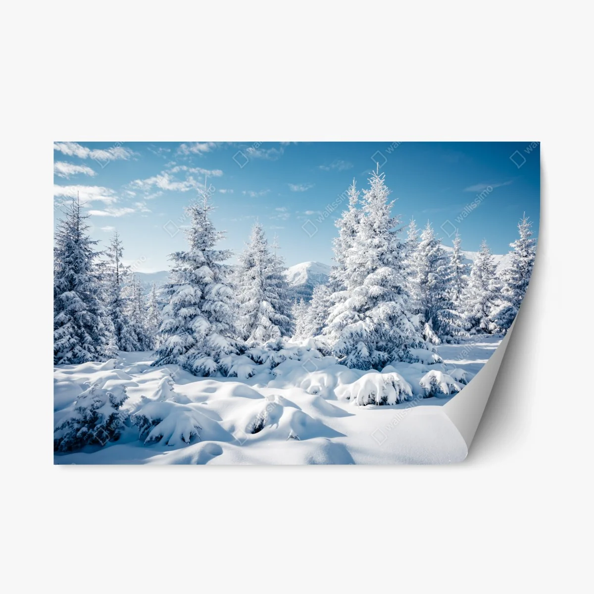 Adesivo riposizionabile silenzio innevato nei Carpazi, Ucraina • Wallissimo® Adesivo riposizionabile silenzio innevato nei Carpazi, Ucraina • Wallissimo®