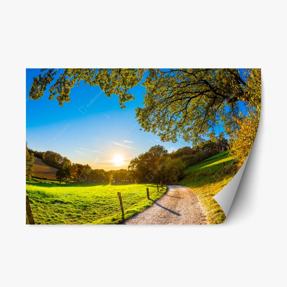 Adesivo riposizionabile sentiero dorato nella valle al tramonto • Wallissimo® Adesivo riposizionabile sentiero dorato nella valle al tramonto • Wallissimo®