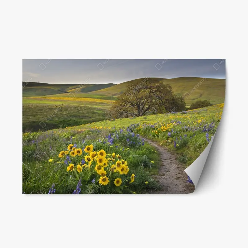 Adesivo riposizionabile sentiero tra i fiori selvatici sulle colline