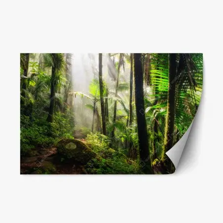 Adesivo riposizionabile foresta pluviale al chiarore del mattino • Wallissimo®