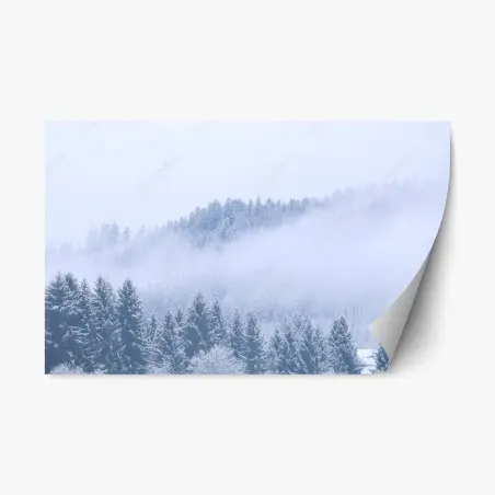Adesivo riposizionabile nebbia sulla foresta di conifere innevata • Wallissimo®
