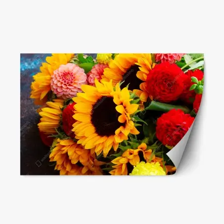 Adesivo riposizionabile esplosione di girasoli e dalie su sfondo vivace • Wallissimo®