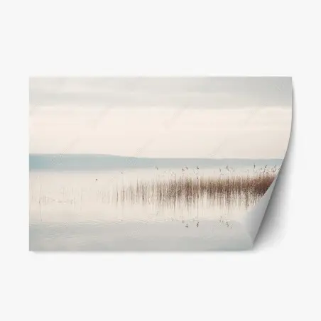 Adesivo riposizionabile orizzonte di canneto e riflessi • Wallissimo®
