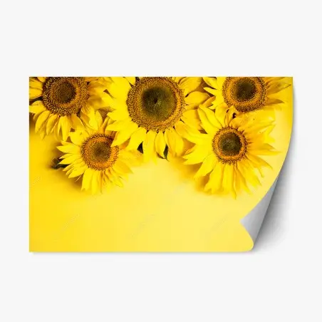 Adesivo riposizionabile girasoli su sfondo giallo vivace • Wallissimo®