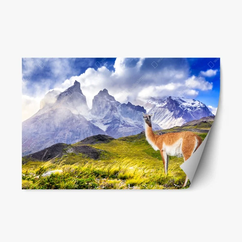 Adesivo riposizionabile quiete patagonica a Torres del Paine