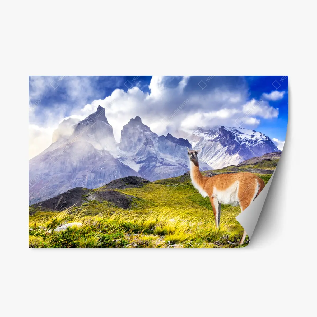 Adesivo riposizionabile quiete patagonica a Torres del Paine • Wallissimo®