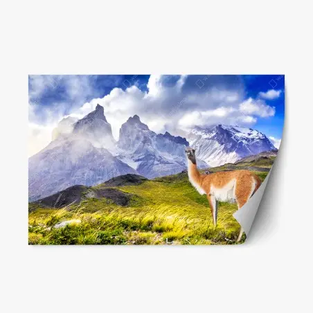 Adesivo riposizionabile quiete patagonica a Torres del Paine • Wallissimo®