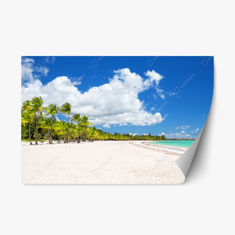 Adesivo riposizionabile paradiso tropicale a Punta Cana