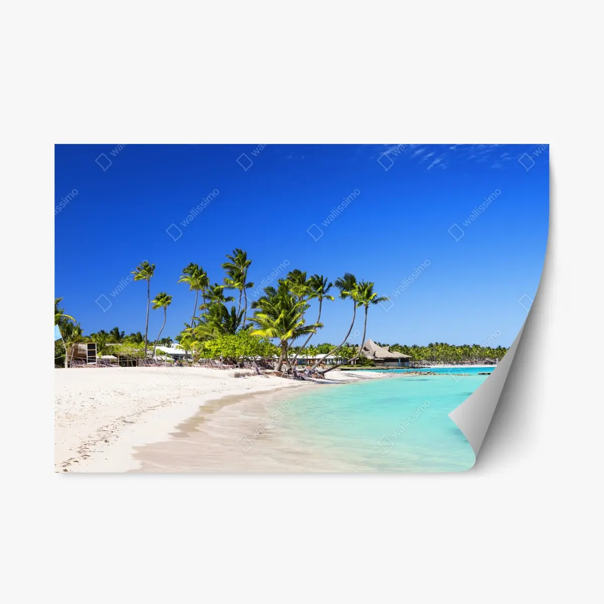 Adesivo riposizionabile spiaggia paradisiaca di Cap Cana • Wallissimo®