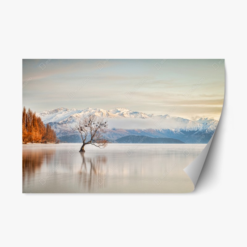 Adesivo riposizionabile silenzio invernale sul lago Wanaka