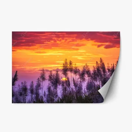 Adesivo riposizionabile tramonto dorato tra le canne • Wallissimo®