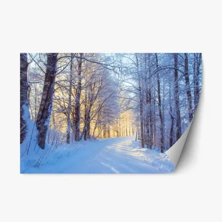 Adesivo riposizionabile bosco innevato alla luce dorata • Wallissimo®