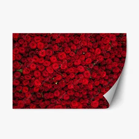 Adesivo riposizionabile mosaico di rose rosse • Wallissimo®