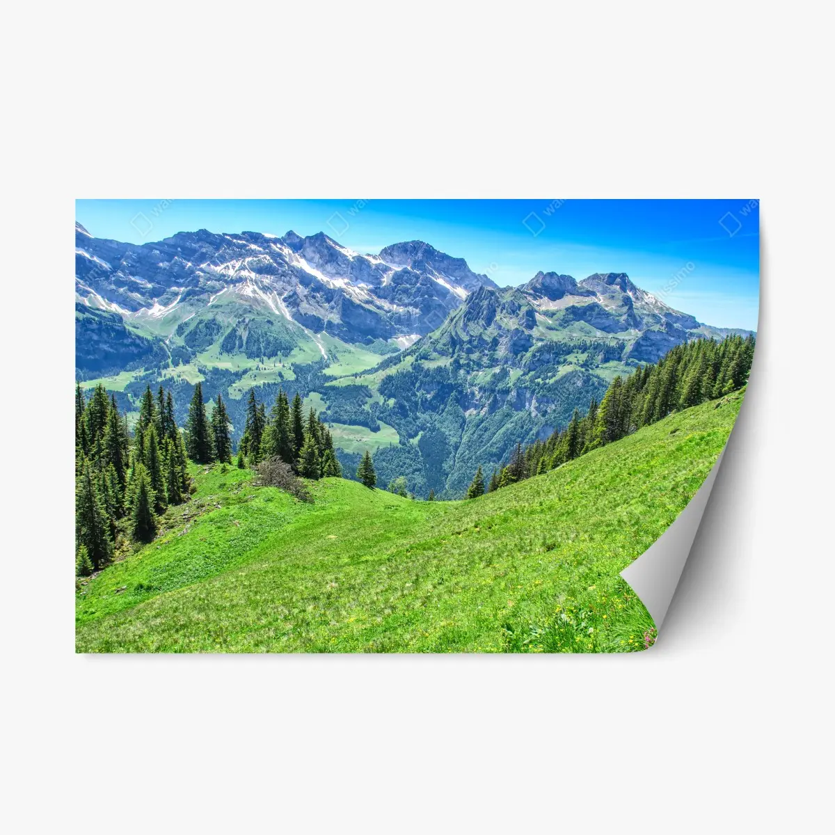 Adesivo riposizionabile panorama alpino estivo - Alpi Svizzere, Engelberg • Wallissimo®