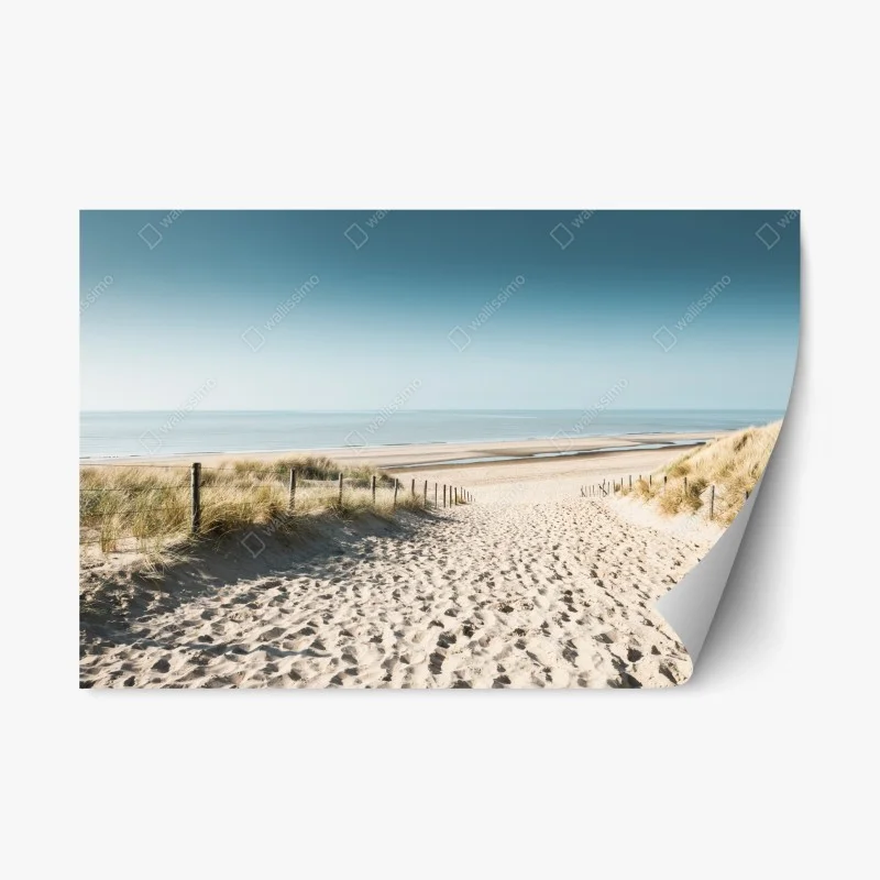 Adesivo riposizionabile sabbia e mare a Noordwijk