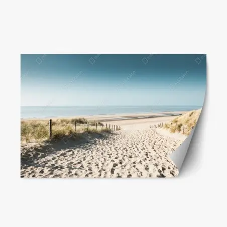 Adesivo riposizionabile sabbia e mare a Noordwijk • Wallissimo®