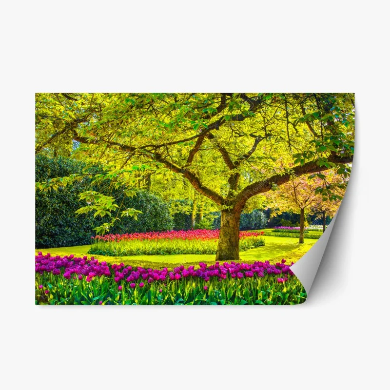 Adesivo riposizionabile giardino di tulipani primaverile a Keukenhof