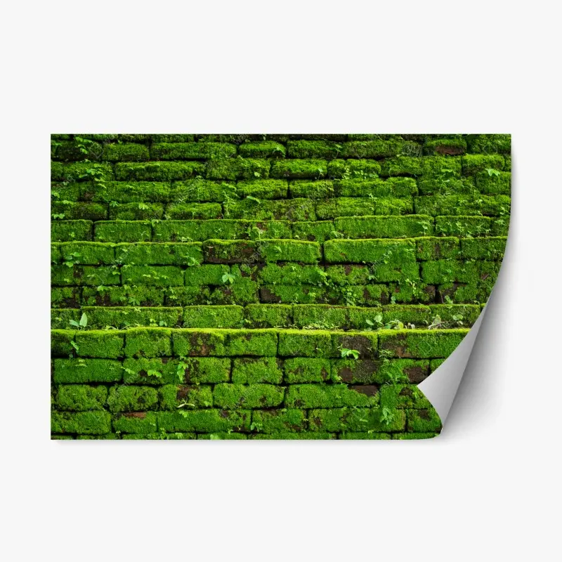 Adesivo riposizionabile muro verde di muschio per decorazione murale naturale • Wallissimo® Adesivo riposizionabile muro verde di muschio per decorazione murale naturale • Wallissimo®