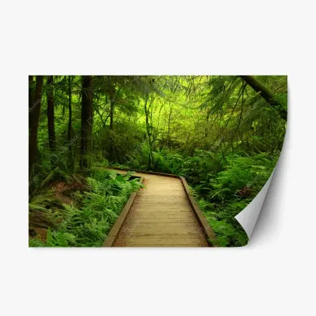 Adesivo riposizionabile sentiero nel bosco verde • Wallissimo®