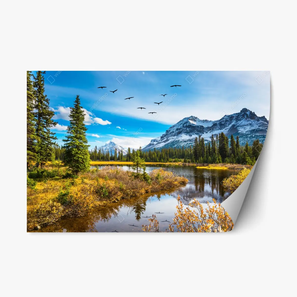Adesivo riposizionabile riflessi d'autunno alle Montagne Rocciose • Wallissimo®