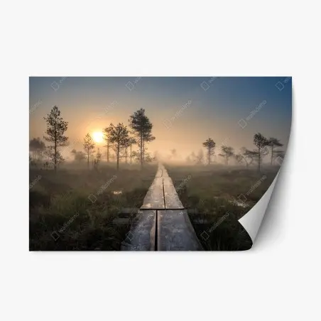 Adesivo riposizionabile passerella nella nebbia all'alba • Wallissimo®