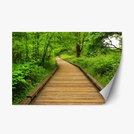 Adesivo riposizionabile sentiero di legno nella foresta verde • Wallissimo®