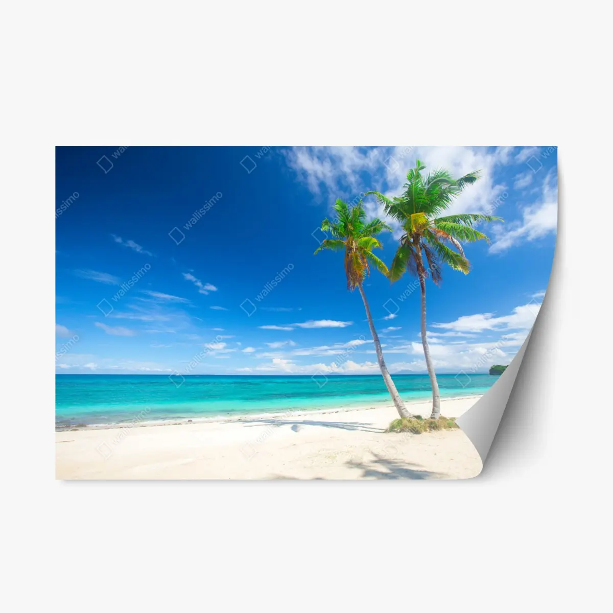 Adesivo riposizionabile spiaggia turchese con palme • Wallissimo®
