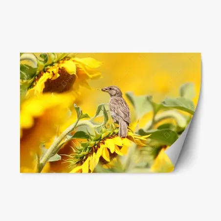 Adesivo riposizionabile passero sul girasole dorato • Wallissimo®