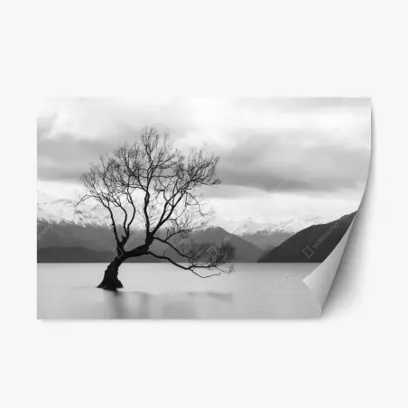 Adesivo riposizionabile albero solitario nel lago montano • Wallissimo®