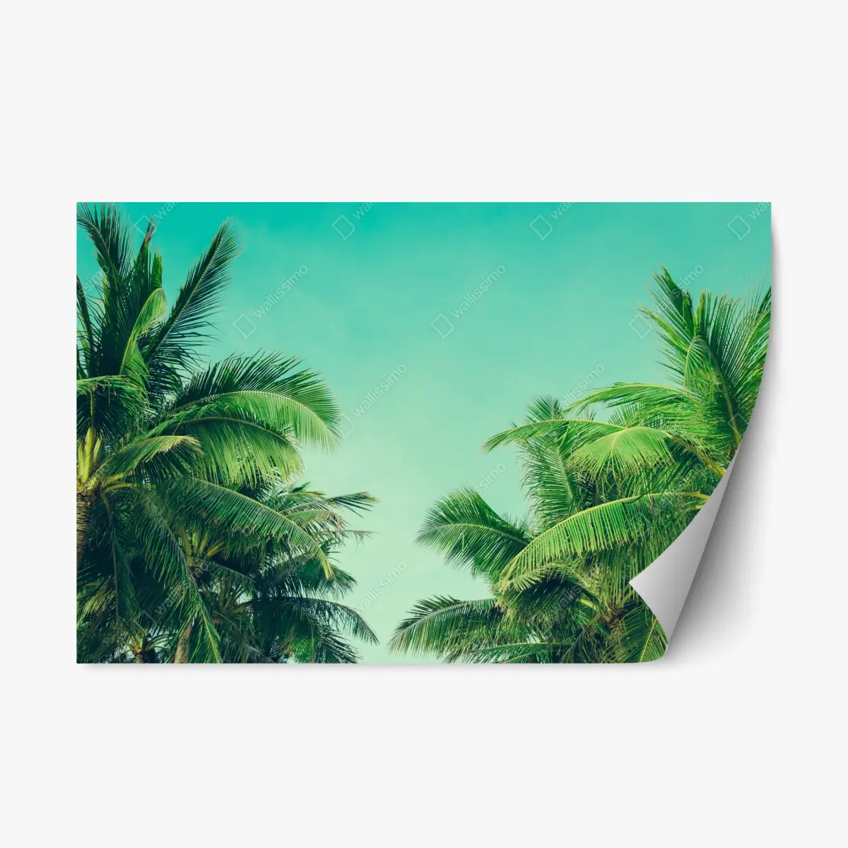 Adesivo riposizionabile oasi tropicale - palme e cielo turchese • Wallissimo®